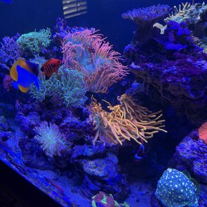 IMG_3451.jpeg