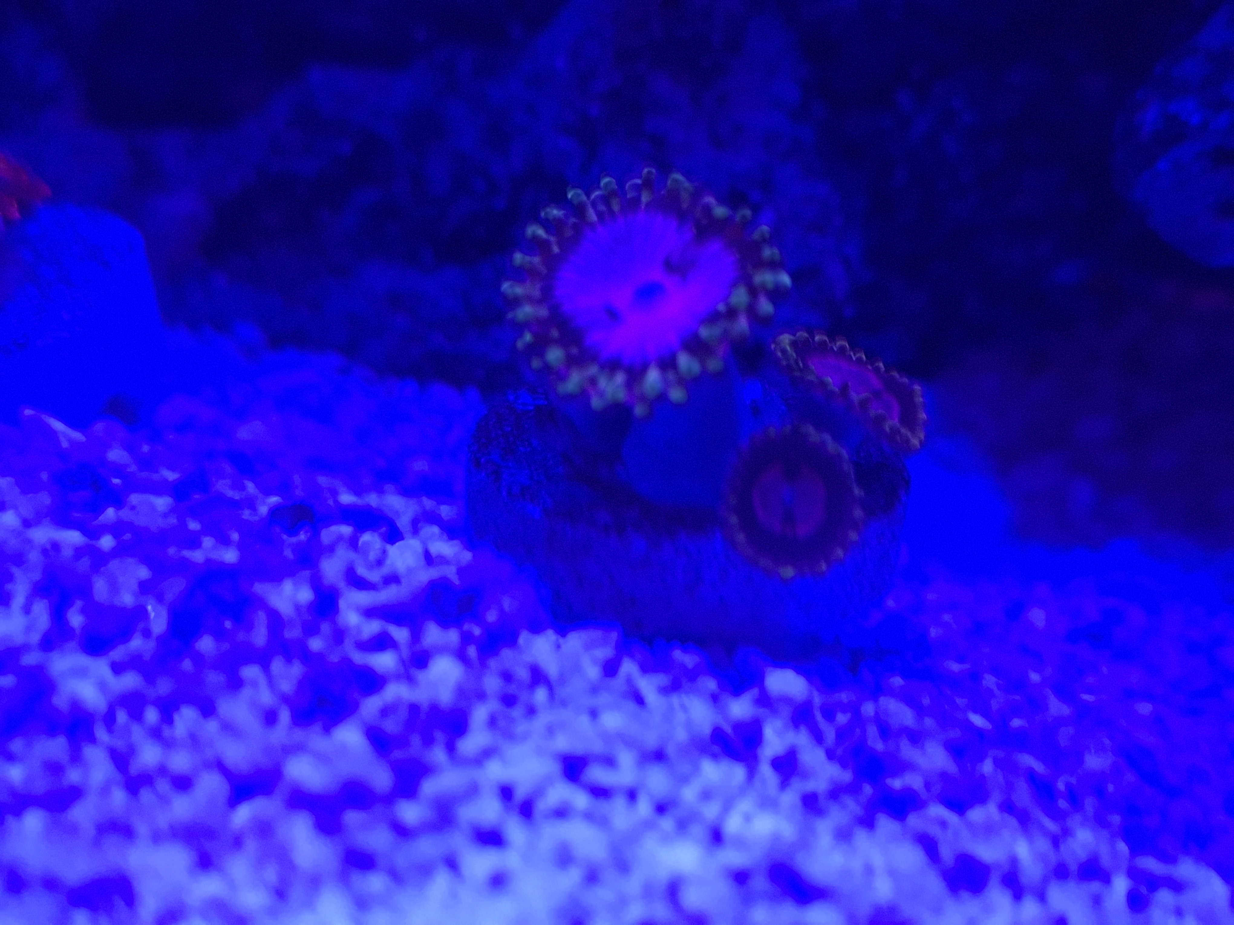 20251012_202121.jpg