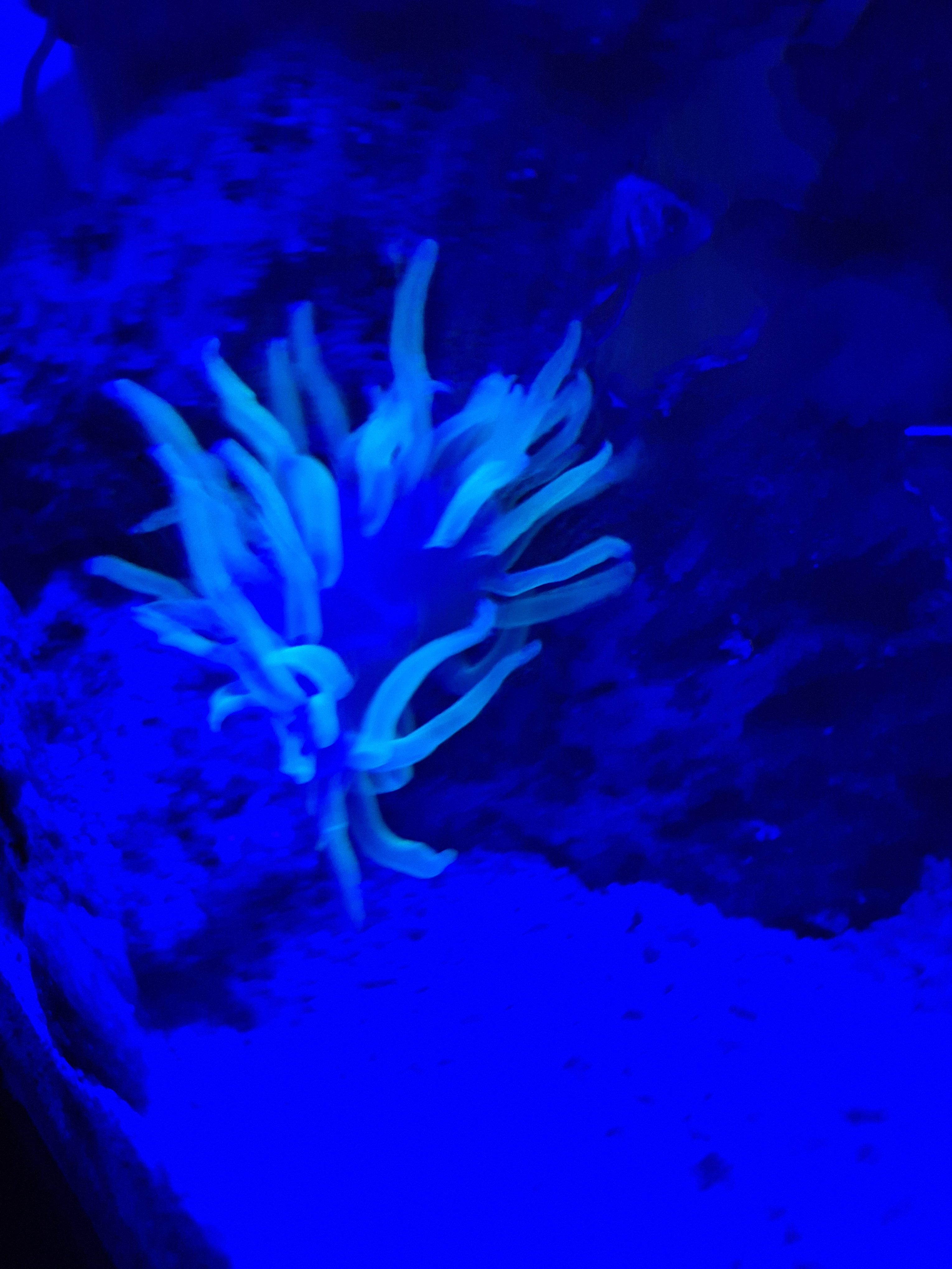 20251012_235308.jpg