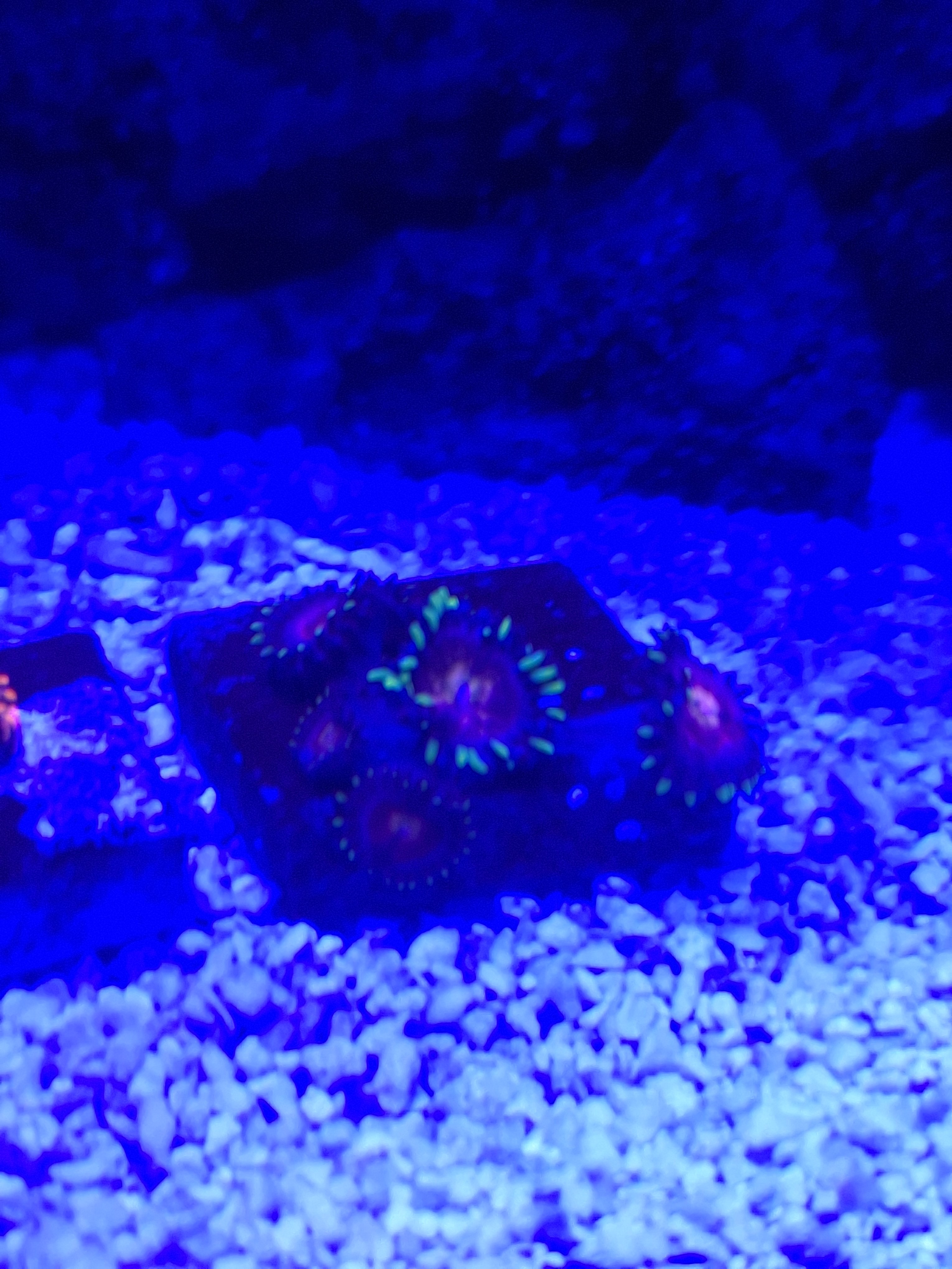 20251020_003835.jpg