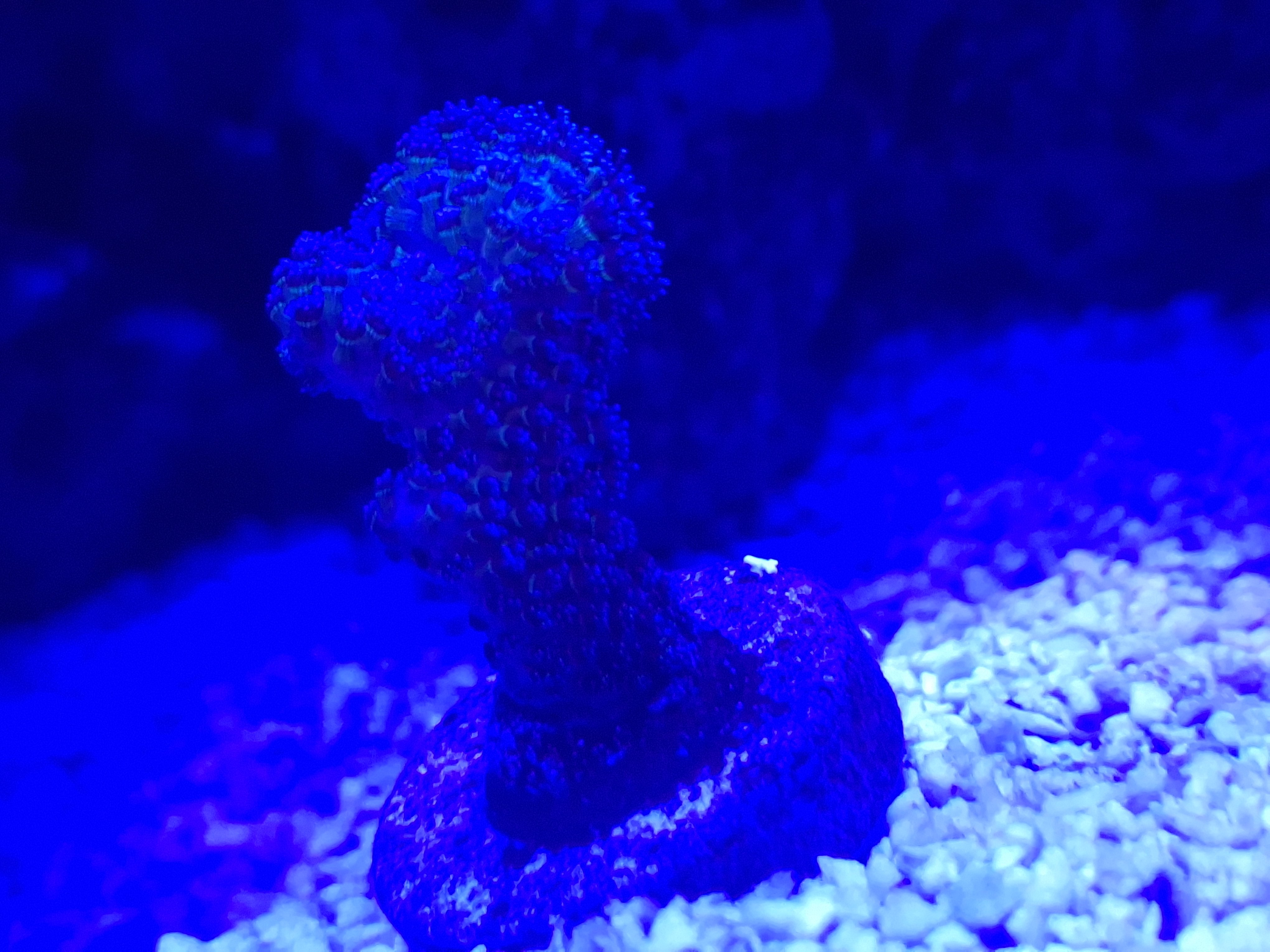 20251020_004030.jpg