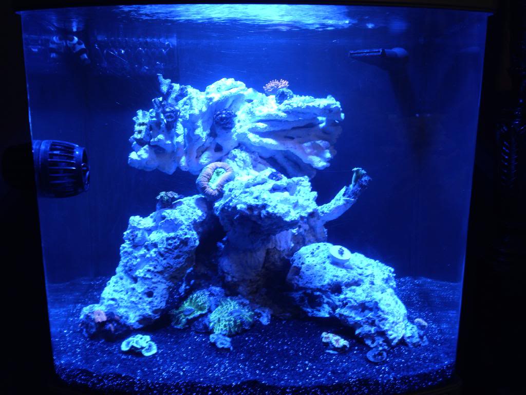 FTS 1.jpg