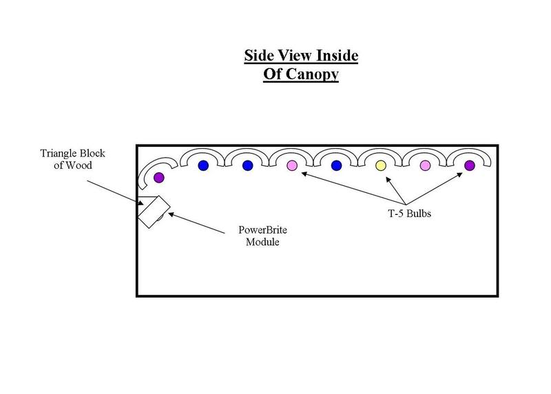 SideViewOfInsideCanopy.jpg