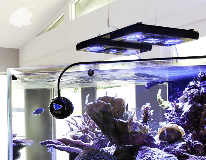 reefbuilders.com