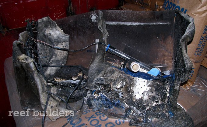 aquarium-heater-fail-1.jpg