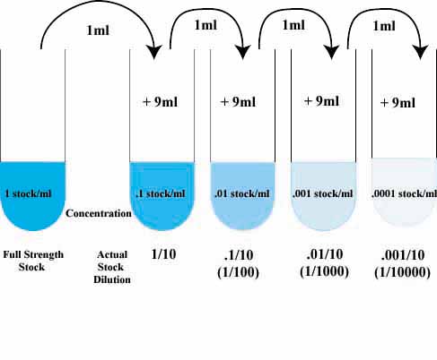 serial%20dilution.jpg