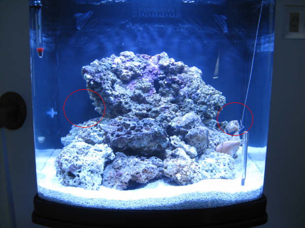 aquascape.jpg