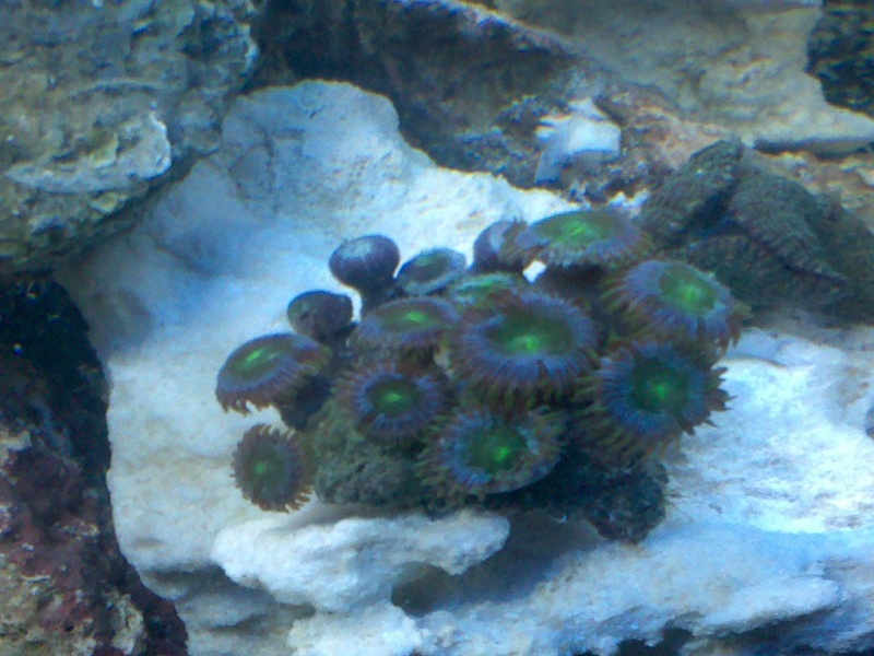 2010-032.jpg