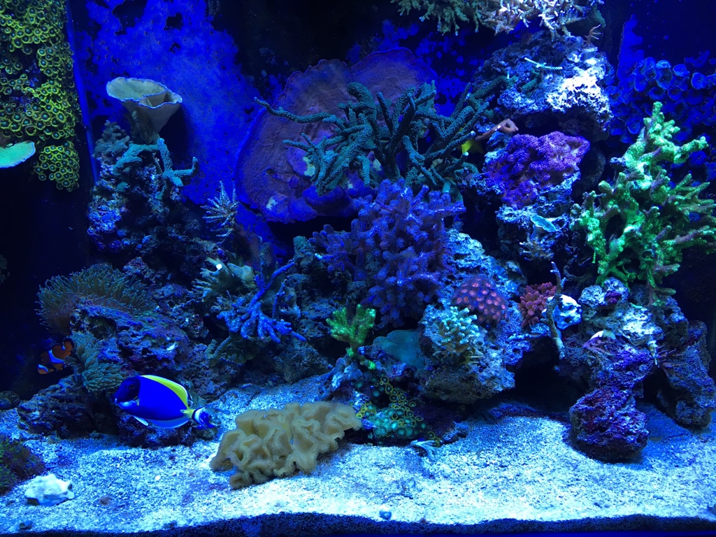 7b9b5b90f72077a07170b4b03f2ced83.jpg
