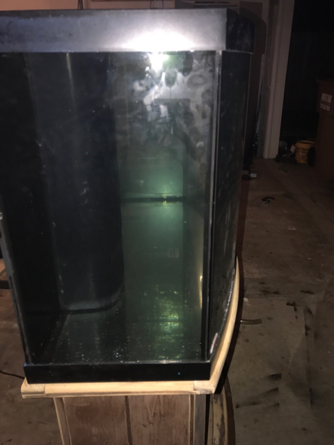 d481eafbe01503eb94a6455570c62dd8.jpg