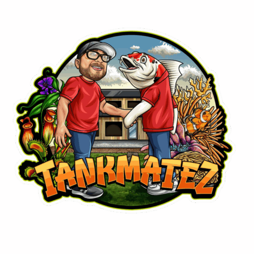 www.tankmatez.com