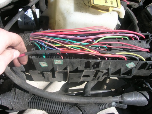 14224d1267968672-sub-wiring-dscn4675.jpg