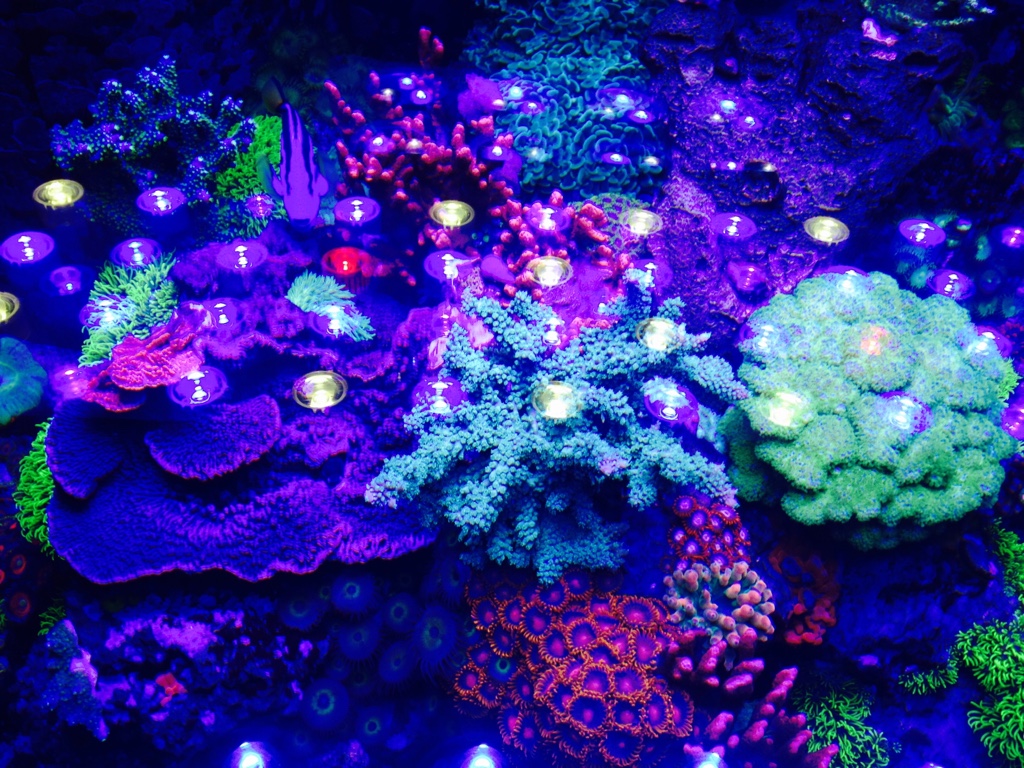c344074ed822b8ab4c9538c8f0cdd751.jpg