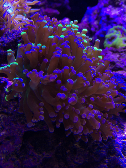 3f6f0dcb59208f6b03e15781ba6dd84a.jpg