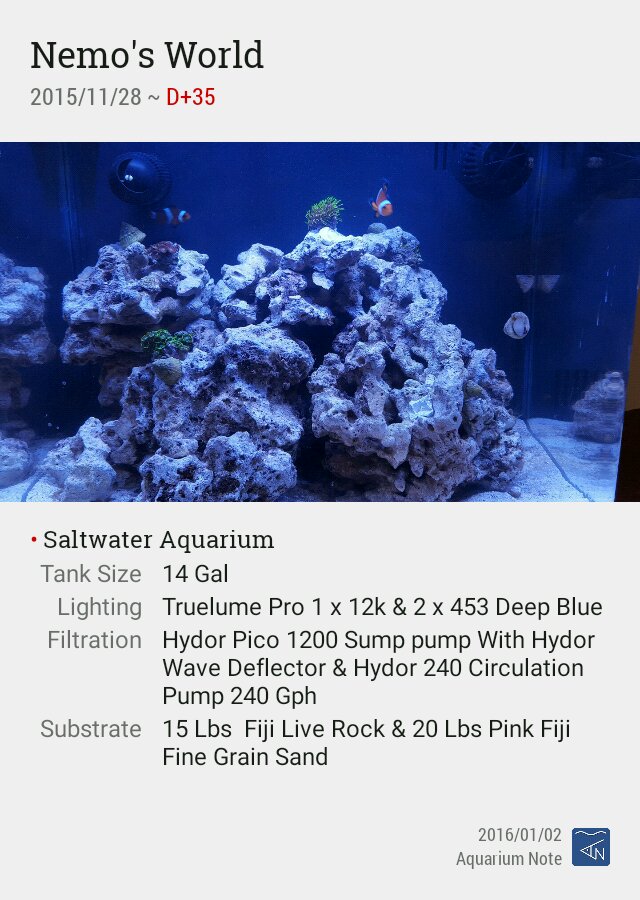 5e91518d0f4481e293c7e695041a8055.jpg