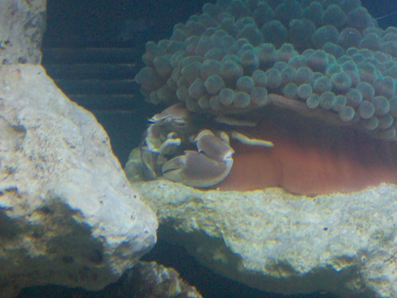 2010-030.jpg