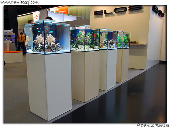 DSC_3784.jpg