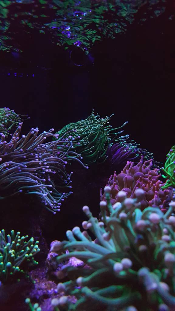 d5b438226b8872a793b5b66c96827efc.jpg