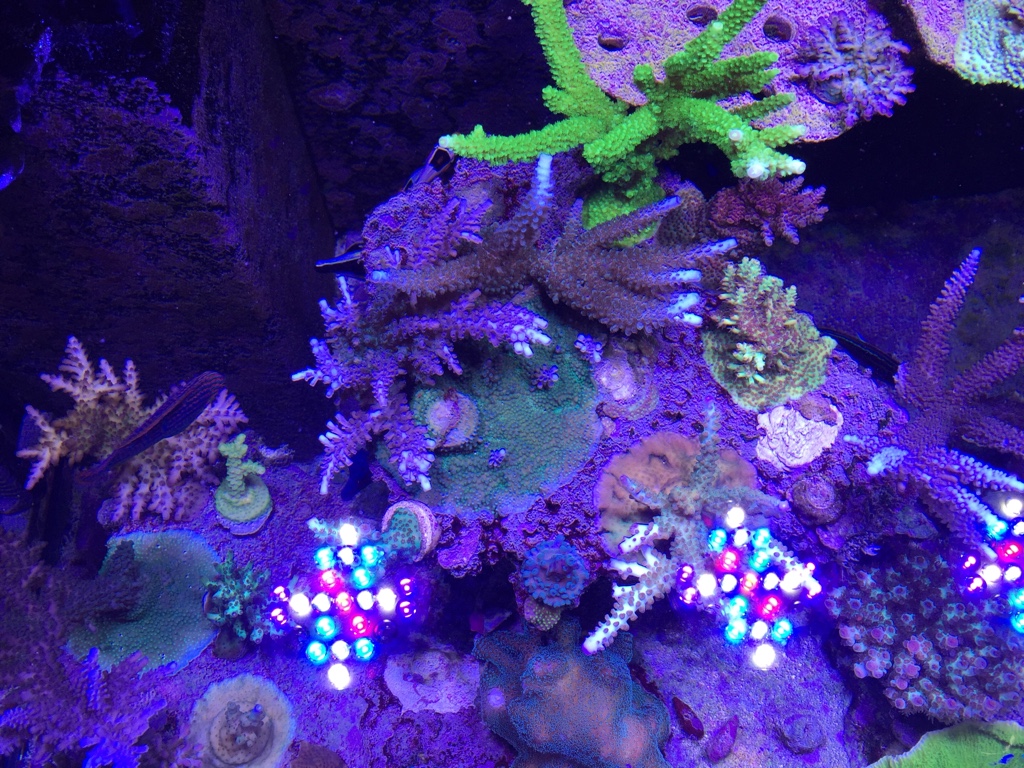 3bbaf497cbbd31851ae0e54d7974c8ec.jpg