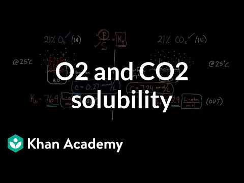 www.khanacademy.org