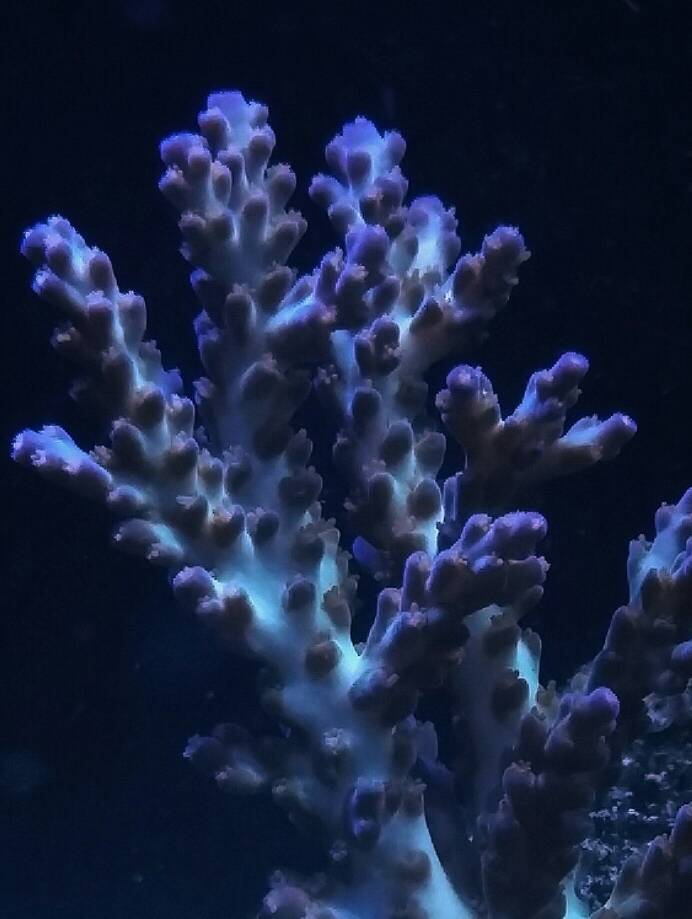 3e9f7ab94b5d7c5ef0fd4c2cc064792a.jpg