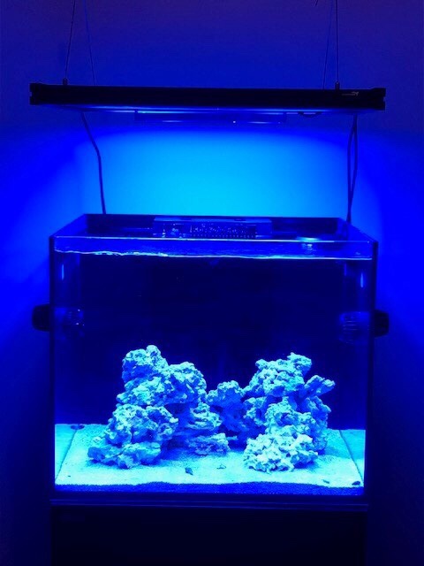 ada4d93a55165ea3e17ba766cdd67667.jpg