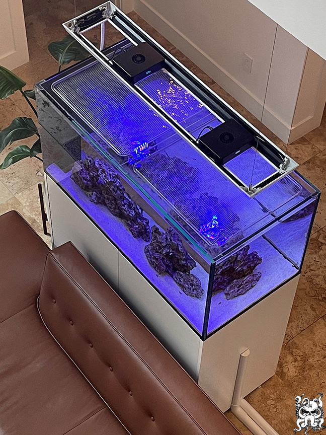 octoaquatics.com