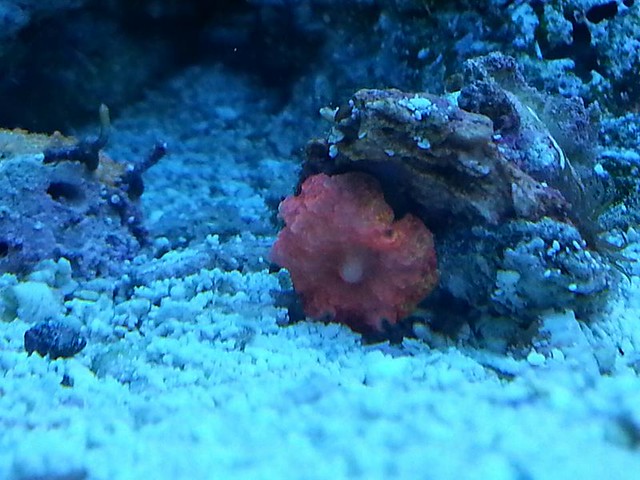 8930556992_65446864f0_z.jpg
