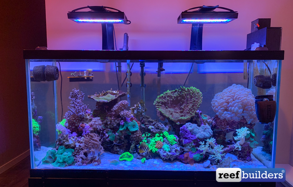 reefbuilders.com
