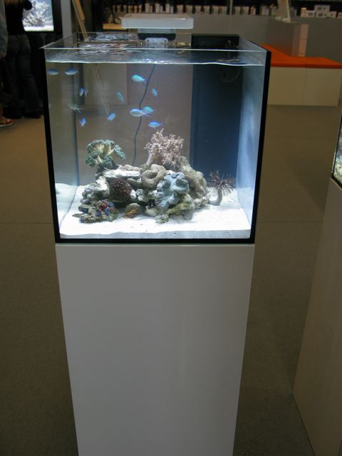 elos-system-mini.jpg