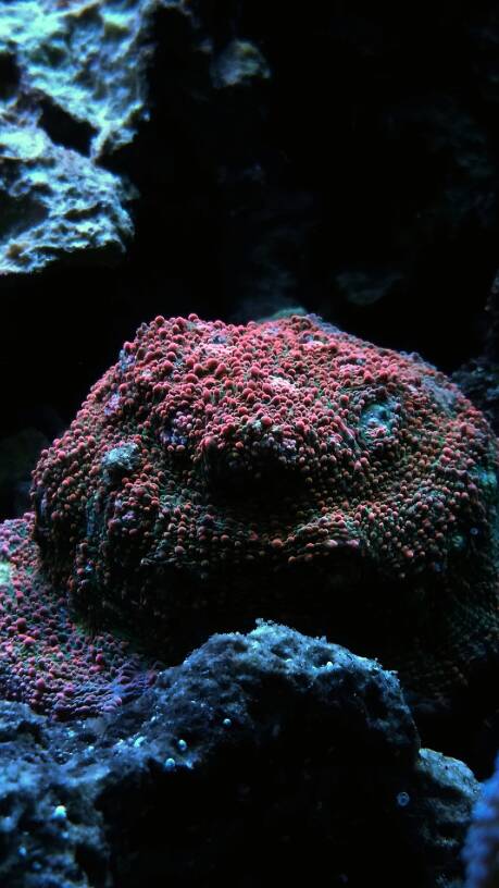 82b45448bc9cb383980ada4a0e4c21f4.jpg