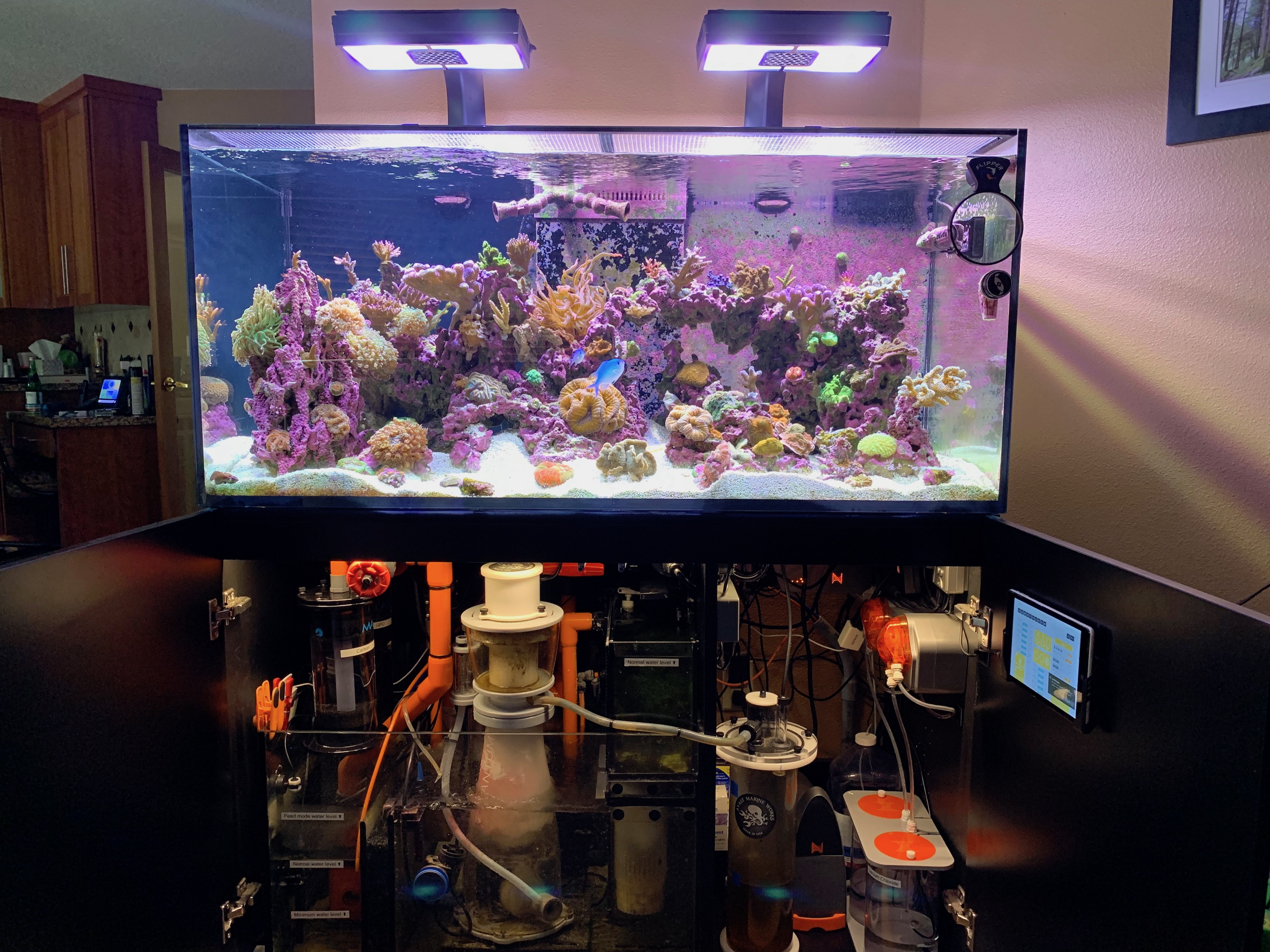 www.reef2reef.com
