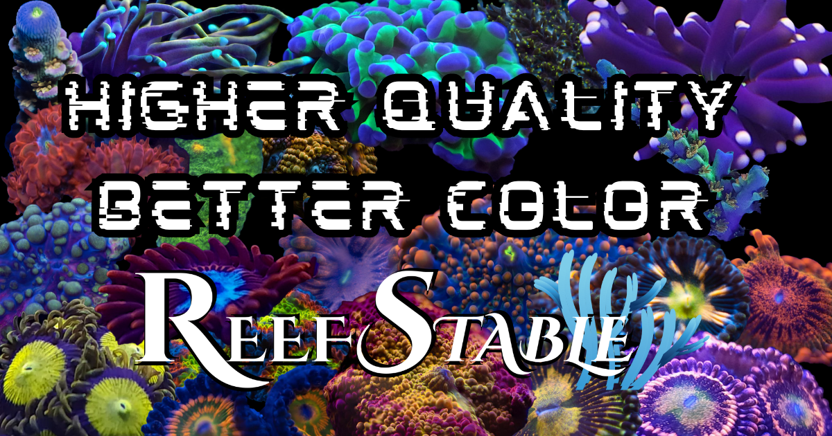 reefstable.com