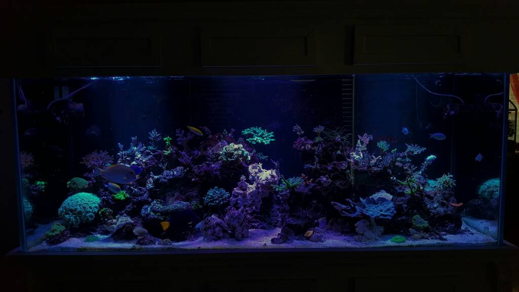 09fde6919bca9cce29441f9c4375b8e1.jpg