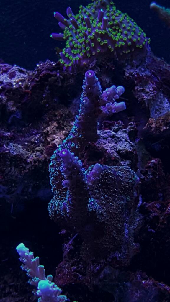 df64a551f4c426f7685526eb0fdce033.jpg
