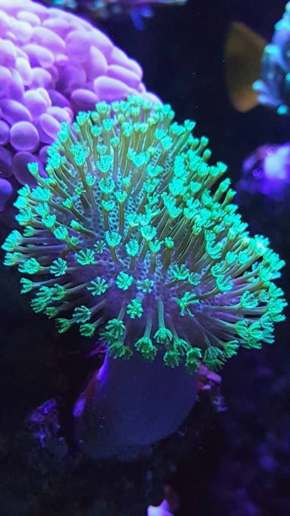 d6bc1f3165e61f81a2d6a2d10c762318.jpg