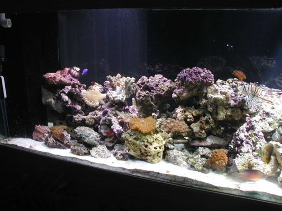 www.ratemyfishtank.com
